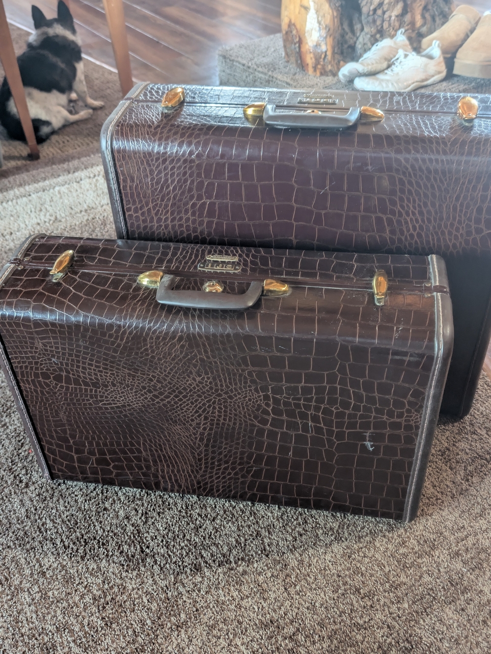 Samsonite Series 4151 Luggage Pair.